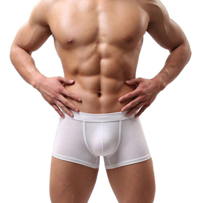 New Sexy Men Underwear 2016 Fashion uUnderwear Men Boxer Shorts Bulge Pouch Soft Underpants Boxers